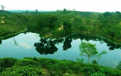 মাধবপুর লেক – Madhabpur Lake – Best Lake 2024