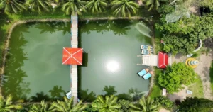 niribili park