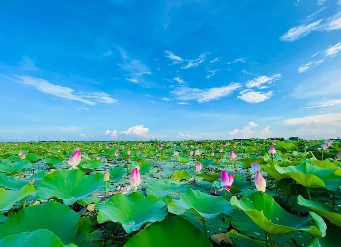 বলাকইড় পদ্মবিল গোপালগঞ্জ