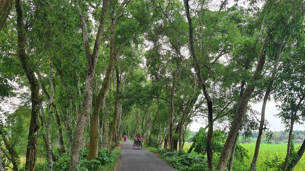 AC Road Faridpur